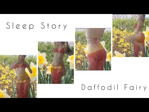 🌼ASMR 📖 Sleep Story 🧘🏻‍♀️ Meditation 🌼Daffodil Fairy 🧚🏻‍♀️