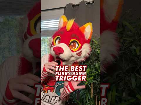 The Best Furry ASMR Trigger: Touching Grass 🌿 #furryasmr #asmr