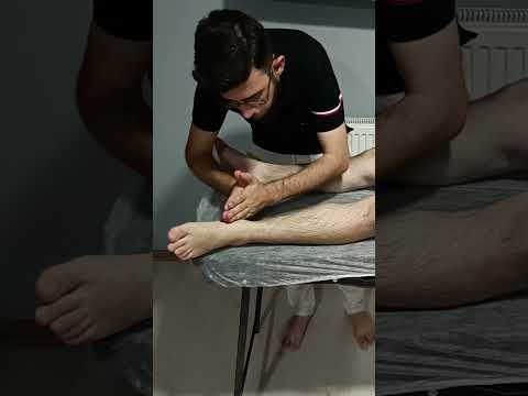 MASSAGE THERAPY TO RELIEVE STRESS ON THE FRONT LEGS #satisfying #relaxing #asmr #shorts