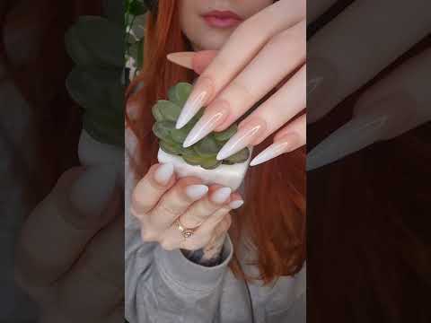 fake plant asmr💚#asmrvideo #relax #fakeplants #asmr #asmrsounds #plantasmr #tappingtriggers #relax