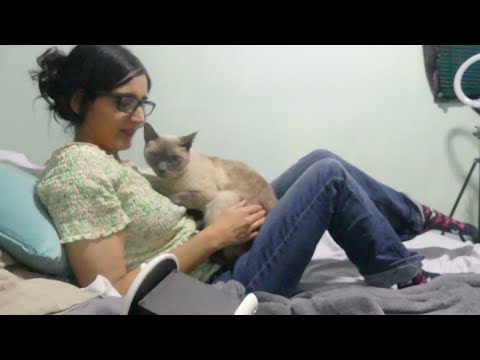 ASMR  Playing With My Cat(Cat Purring Sounds) - Soft Spoken Whispering FOR Sleep ✨(3DIO BINAURAL) 😺