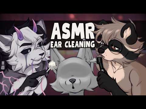 [Furry ASMR] Ear Cleaning, Examination & Massage ✨ (with Sharkbarksss)