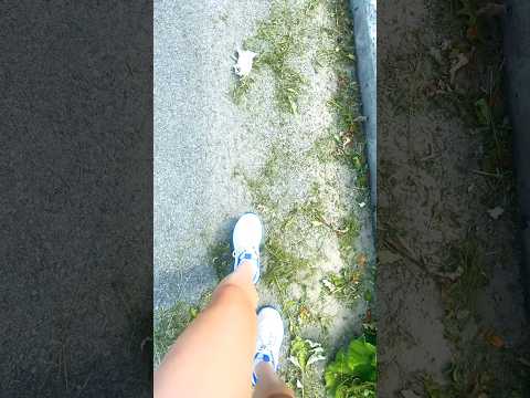 Went for a walk & thought this was very fitting for my channel! 🤭🍃#asmr #crunchysounds #nature