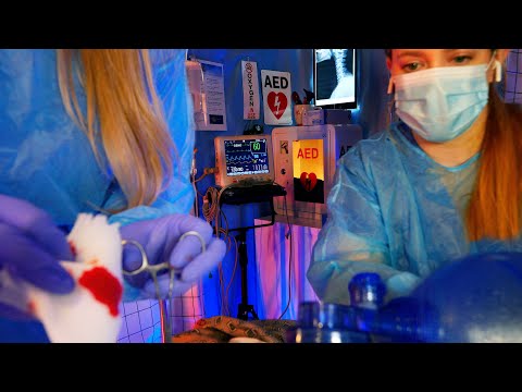 ASMR Hospital Keeping You Alive | Emergency Medical ASMR