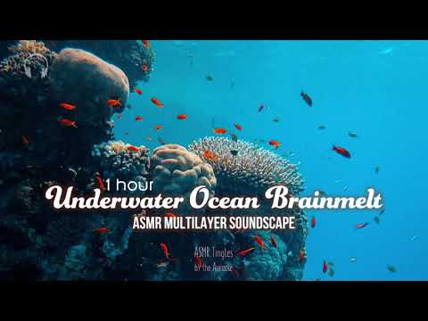 1hr Underwater ASMR ★ Ocean Sounds For Deep Sleep★ Study Meditation Soundscape [Binaural] Multilayer