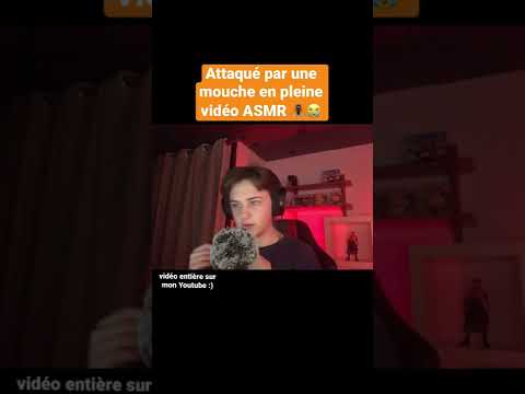 ATTAQUÉ PAR UNE MOUCHE EN PLEINE VIDÉO ASMR 🪰😭 #asmr #asmrfrançais