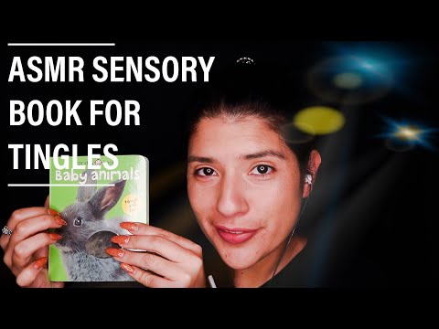 [ASMR] READING SENSORY BOOKS FOR TINGLES AND SLEEP |  WHISPERING YOU TO SLEEP