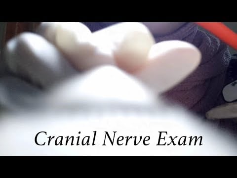 ASMR | Fast Cranial Nerve Exam (Layered sound)