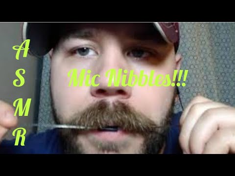 ASMR Mic Nibbling Quickie!!