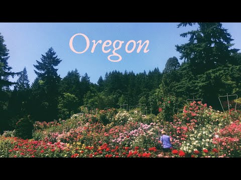 ASMR Road Trip Vlog 🌞 Portland & Glacier National Park.