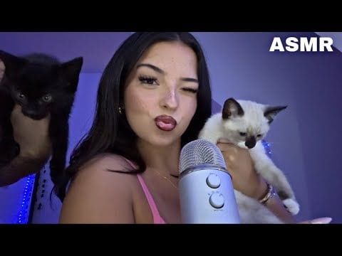 #ASMR - J’AI ADOPTÉ DEUX CHATONS (trop chou) 😴🐈