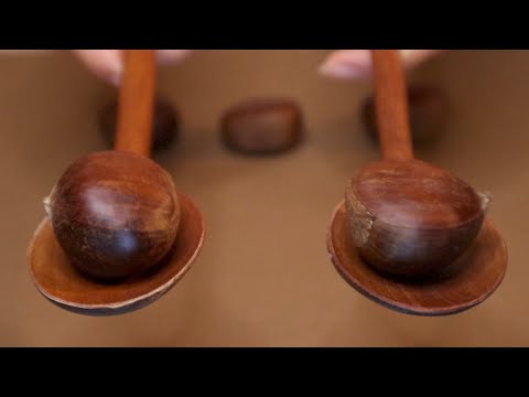 ASMR 🌰알밤으로 10분만에 잠들기🌰