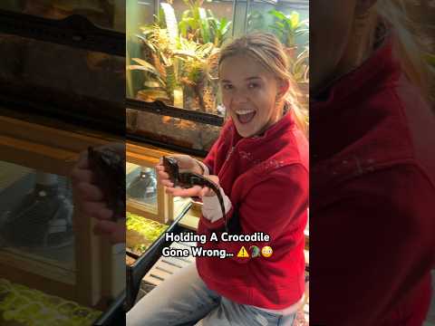 ⚠️ Holding A Crocodile Gone Wrong… 🫪 #funny #fail #reptiles #crocodile #alligator