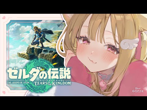 こっそり、深夜のおさんぽ【ゼルダの伝説 ティアーズ オブ ザ キングダム 】