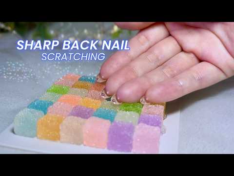 ASMR Intense Tingles｜Fast Back Nail Scratching🌟(No talking,No mouth sounds)