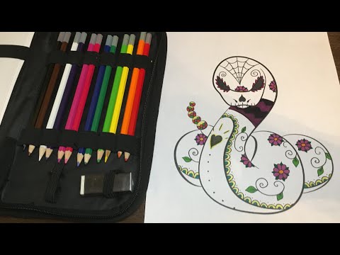 ASMR | Spooky Season Coloring Page (Pokémon Ekans • Day of the Dead)