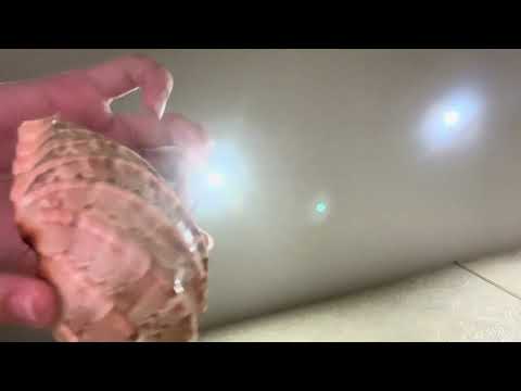 asmr;;; секретный ритуал 😘