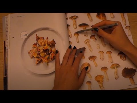 asmr | magazine flipping with close-up whispering and gum chewing