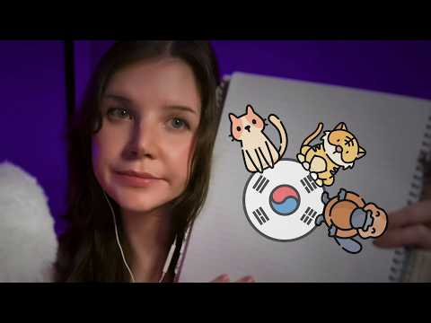 asmr | teaching you korean animal words 🐾 (soft tingly whisper)