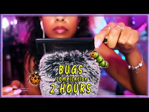 ASMR ✨ BUG SEARCHING Compilation 2 HOURS 🐞 Light Mouth Sounds, Plucking, Gum Chewing (No Talking)