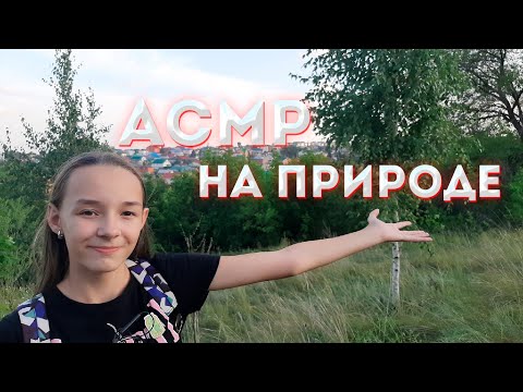 АСМР НА ПРИРОДЕ / ЗВУКИ ЛЕСА