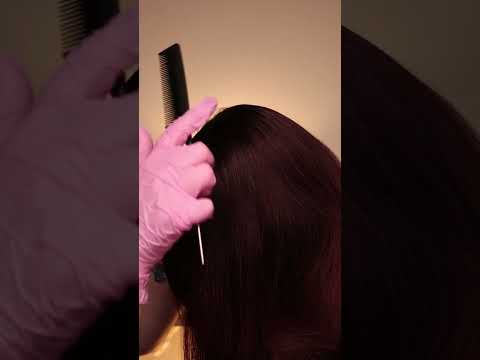 ASMR Real Person Scalp Check
