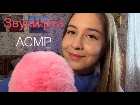 АСМР звуки рта с ветрозащитой | asmr mouth sounds 👅😴💤