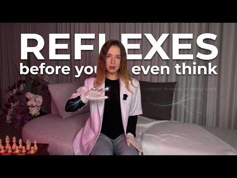 How Your Body Reflexes Before You Think