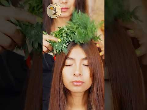 Rue is a powerful medicinal plant for energy cleansing #asmr