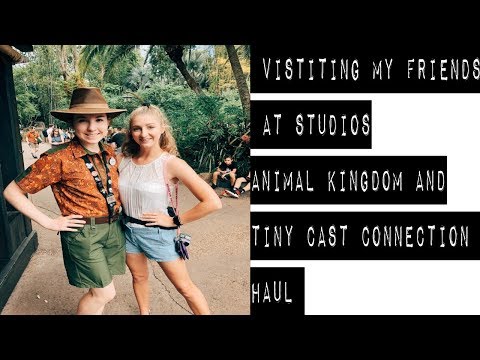 visiting friends at dak and studios and tiny cast connection haul // dcp spring 2019