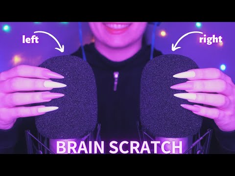 Asmr Mic Scratching - Brain Scratching | Hypnotic Asmr No Talking for Sleep with Long Nails 1H