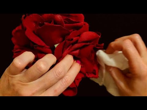 ASMR | Dusting Artificial Flowers With a Paper Towel (Whisper)