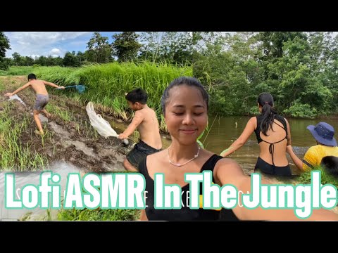 Lofi ASMR in the jungle - talking asmr