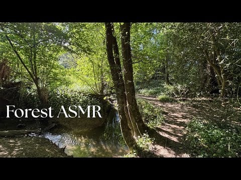 Nature ASMR • 4K Relaxing Forest Sounds on a Spring Day • Bird Song
