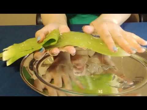 ASMR HAND SOUNDS WITH ALOE VERA/HAND MOVEMENTS: Life in America 🇺🇸