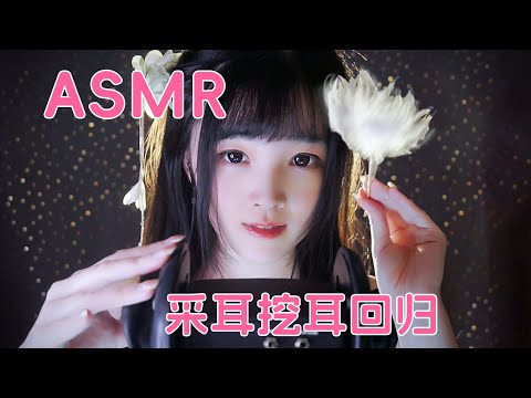 【ASMR / shorts vol 48】ASMR采耳挖耳回归，刺激头颅防免疫哄睡