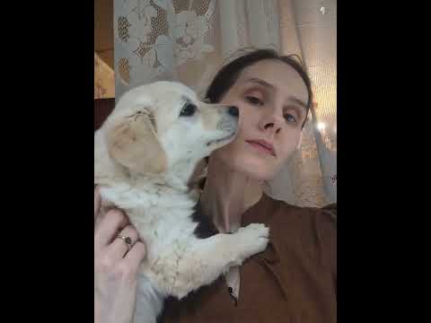 Любовь щенка. 🐕‍🦺😊