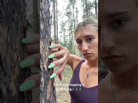 Tree Tapping & Scratching 🌲 #asmr #natureasmr #asmrsounds #outdoors