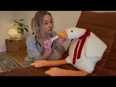 ASMR Stuffed Animal Check-up | Goose Medical Exam 🪿✨
