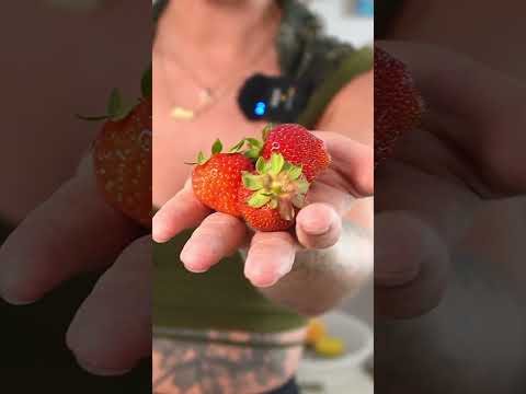 strawberries ans pottery ✨