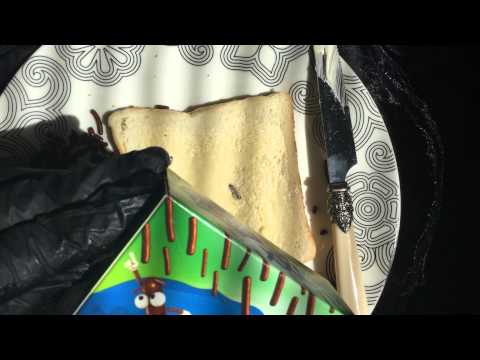 Black Latex Gloves &Chocolate sprinkles ( Hagelslag ) [[ASMR]]
