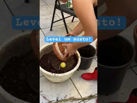 Não estava esperando isso