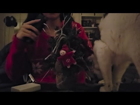 ASMR giving my mini christmas tree a massage 🎄 (+ random triggers)