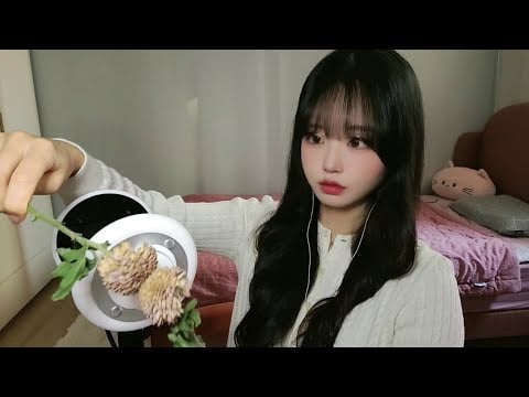 팅글 보장! 바스락바스락 말린 꽃 ASMR🌷 | 귀를 간지럽히는 자극적인 소리✨