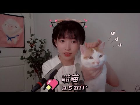 ASMR 轻语助眠 宠物医院的猫呼噜 whispering
