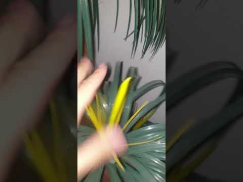 fast and aggressive plastic tree scratching ASMR #scratchingasmr #asmr #fastasmr #asmrcommunity