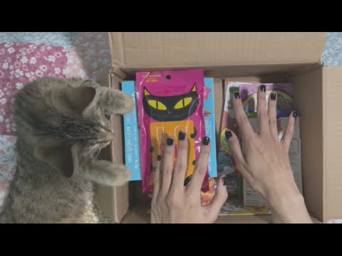 ASMR Unboxing Soft Spoken (Whispering) Cat Toys www.petonly.ca