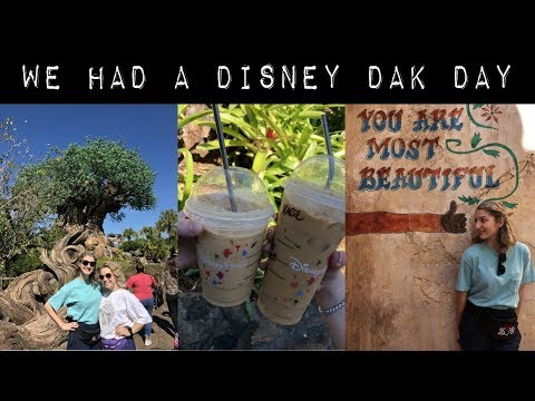 we had a disney dak day // dcp spring 2019