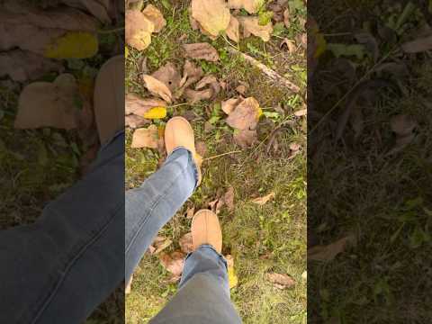 Crushing leaves 🍂 | asmr