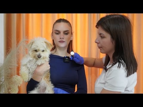 ASMR TSA Security Check | Real Person Pat Down RolePlay & Dog Search 👀, Soft Spoken to RELAX & SLEEP